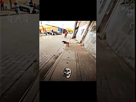 🎼:𝑺𝑷𝑶𝑶𝑲𝒀 (𝑺𝒖𝒑𝒆𝒓 𝑺𝒍𝒐𝒘𝒆𝒅) || #shorts #trollface