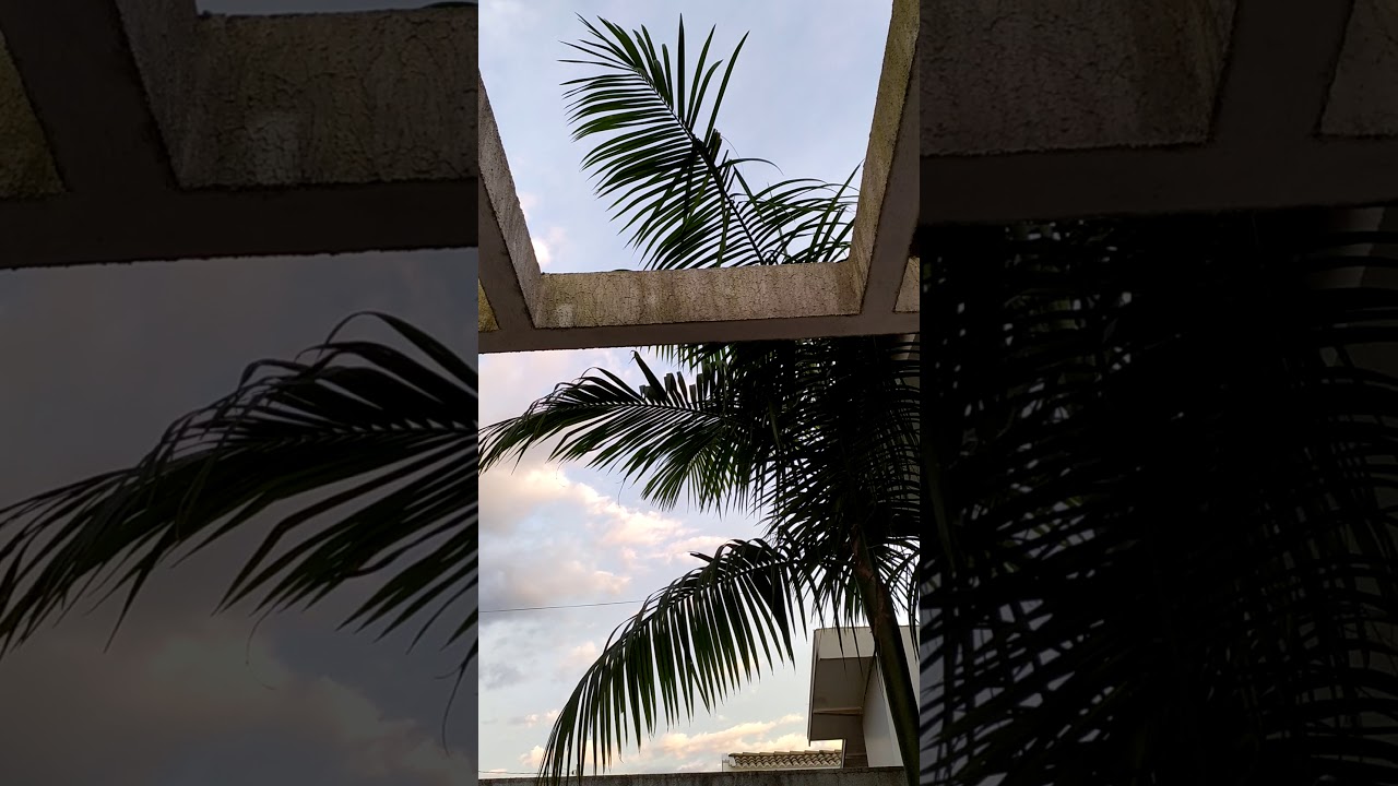 Livro Tibetano do Viver e do Morrer