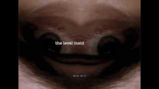 BROADCAST - I FOUND THE F