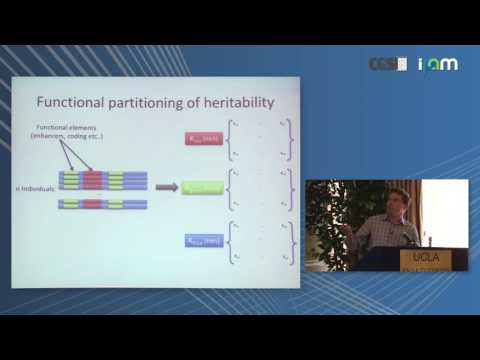 Bogdan Pasaniuc: "Methods to Understand the Polygenic Architecture of Complex Traits"