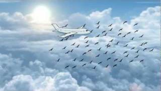 Shapeshifter - Shakedown