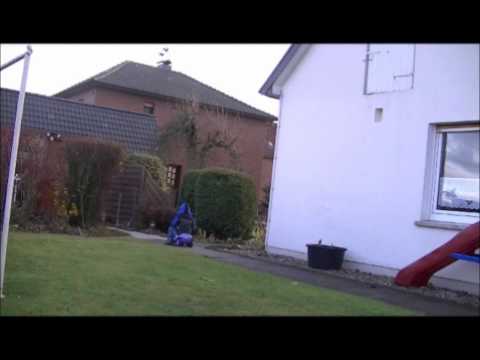 Wise Guys - Das bedeutet Krieg