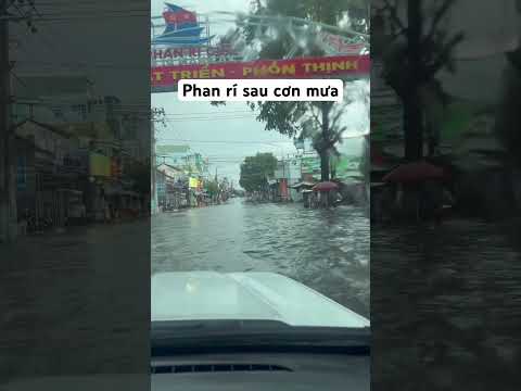 Phan rí sau cơn mưa