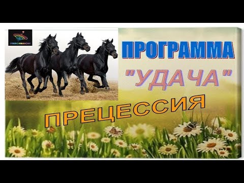 От 40 000 до 1 миллиона за 1,5 месяца! PRECESSION