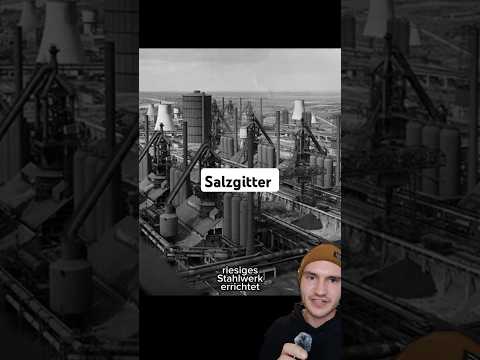 warum hat sich die Bevölkerung dieser Stadt so entwickelt? #geographie #deutschland #salzgitter