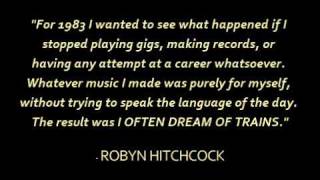 Robyn Hitchcock &quot;I Often Dream of Trains in New York&quot; Deluxe DVD/CD Set.