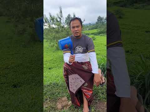 dilarang-wudhu-pake-gayung