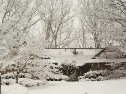 Peace on a Corner, by Corey-Jan Albert