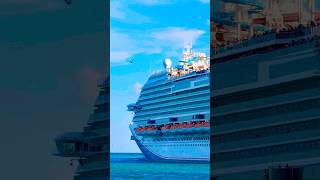 Carnival Horizon 🛳️ #share #yt #subscribe #comment #cruise #vacation #shortvideo #shortsvideo #fun