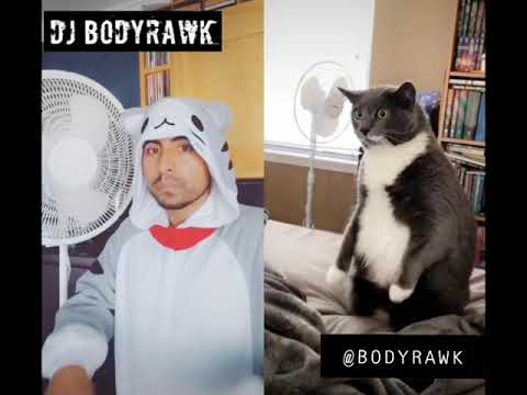 SAVAGE tik tok cat - Megan Thee Stallion DJ BodyRawK #savagedance