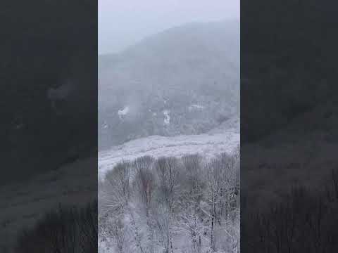 Kocaeli Kuzuyayla Zirvesi dji drone avata2 kocaeli keşfet kuzuyayla