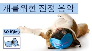 강아지 음악 내 강아지와 분리 불안을 진정 치료!