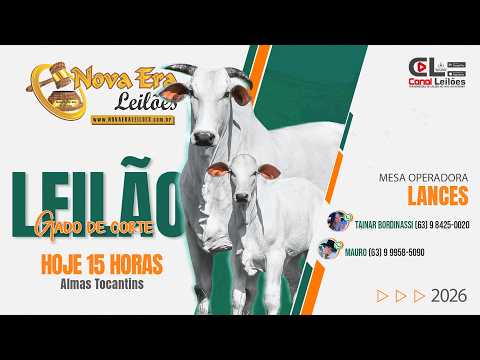 Canal Leiloes | LEILÃO ESPECIAL TOP DA DESMAMA NOVA ERA LEILÕES | ALMAS -TO