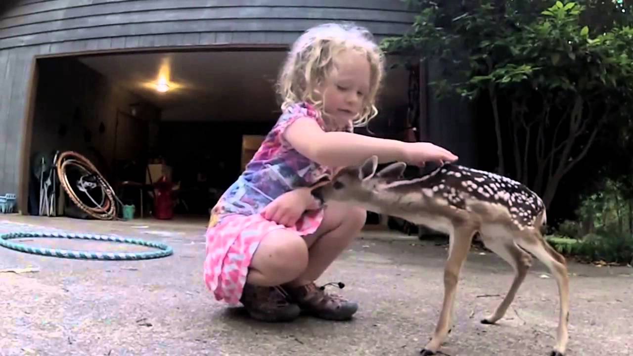The Deer Whisperer