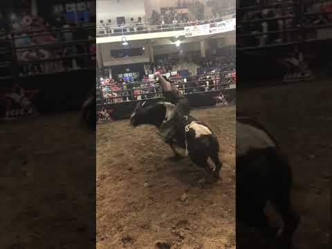 87.5 on “515 Painted Moon”