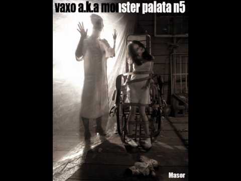 vaxo a.k.a monster palata n5