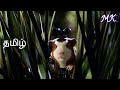 G Force Movie Scene In Tamil Movie Scene