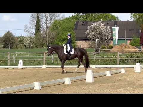 Dressurreiter S (RS1) Sieg mit 8,6🏆✨