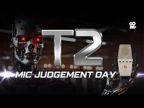 sE Electronics T2 (the Lord of the Rings microphone)