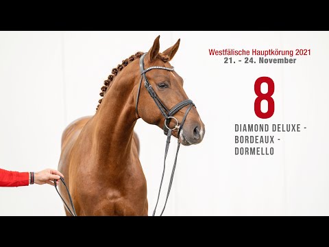 Westfälische Hauptkörung Reitpferdehengste: Kat-Nr. 8 Diamond Deluxe -   Bordeaux - Dormello