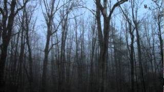 Regal Safari - Only (Sun Glitters Remix)