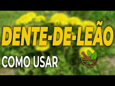 NaturaWeb - Dente-de-Leão Conheça Esta Poderosa Planta e Saiba Como Usa-lá da Maneira Correta!!