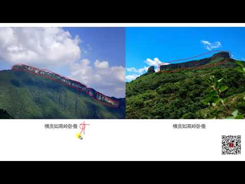 楊字五行