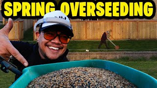 SPRING OVERSEEDING ~ THIS MAY OR MAY NOT GROW