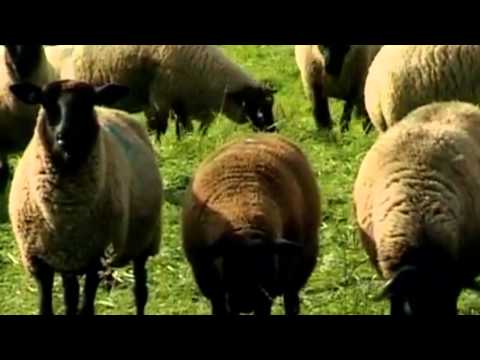 Strickhof Familientag-Trailer