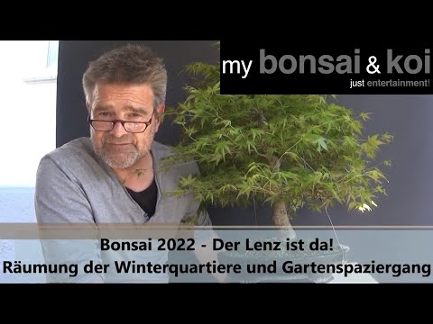 Bonsai 2022-19 - Spring is here! - Garden walk and clearing out of winter quarters