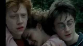 Ron &amp; Hermione - Say Please by Saving Jane