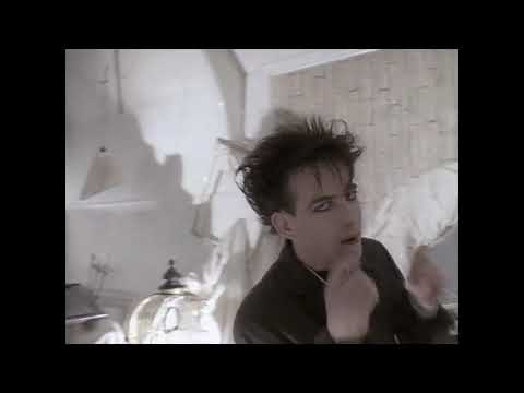 Le Cure   Can't Hug Every Cat