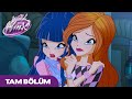 World Of Winx TÜRKÇE S1 Bölüm 4 Şehrin Altındaki Canavar TAM BÖLÜM
