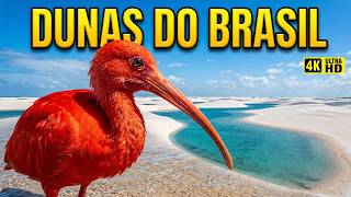 As Dunas Mais Surreais do Brasil | Paisagens Que Parecem de Outro Planeta - Documentário