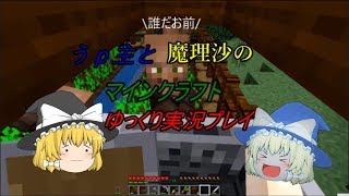宣伝的な動画でいきなり村をぶっ壊すバカ【とにかく無限なマイクラ実況】Part 1