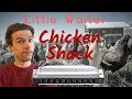 Chicken Shack (Little Walter) blues harmonica lesson