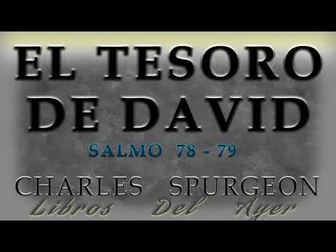 EL TESORO DE DAVID (SALMO 78 - 79)
