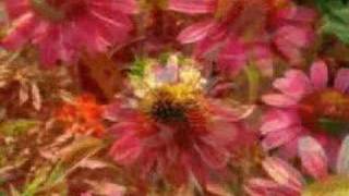 Habang Buhay - The Mabuhay Singers (available in stereo)