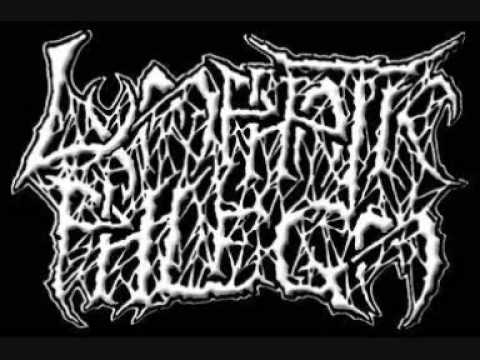 洋楽 TORSOFUCK / lymphatic phlegm TORSOFUCK / LYMPHATIC PHLEGM - Split CD Selfmadegod Records