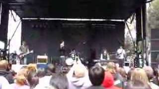 the morning light- a safe bet