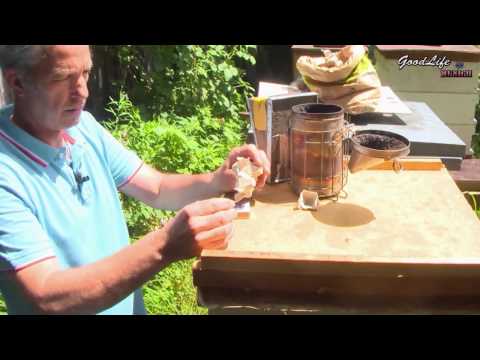 Imkerei Pixis bei der Arbeit!