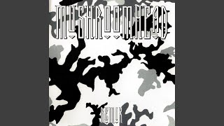 2nd Thoughts (Fuck Like Pigs Mix)