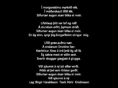 Sjáumst á ný. Lag. BHara .Texti. Þórir Kristinsson