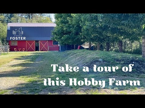 Tour this Vancouver Island Hobby Farm Real Estate for sale!