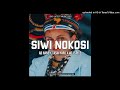 SIWI NOKOSI AB Nane Feat Tasik Yard 401 Spice PNG LATEST MUSIC 2025
