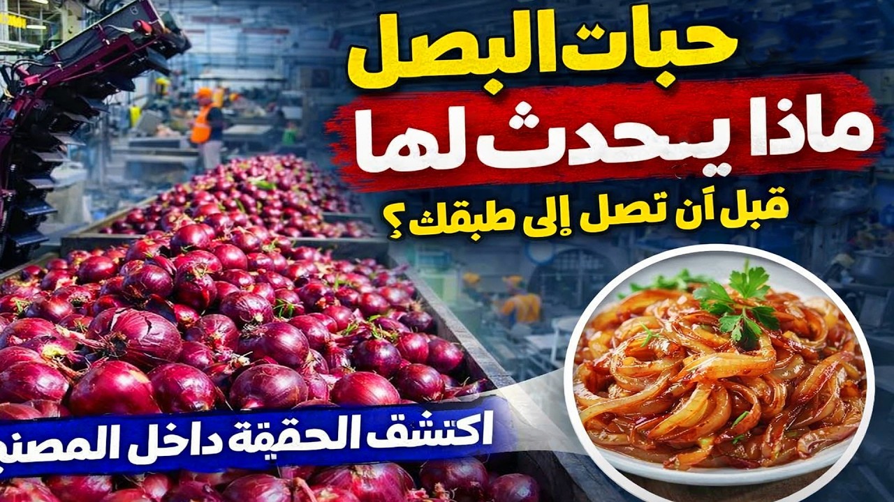 ماذا يحدث لملايين حبات البصل قبل أن تصل إلى طبقك؟ اكتشف الحقيقة داخل المصنع!
