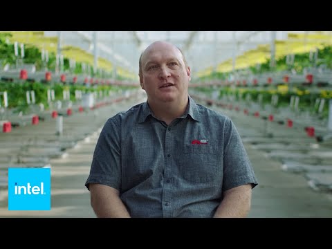 Grow Smarter Not Harder with AI | Intel