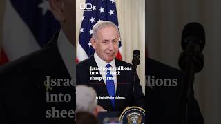 60 Minutes reports Israel has directed government funds into West Bank sheep farming operations