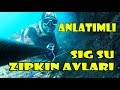 SIĞ SU ZIPKINLA BALIK AVI BLEUTEC CARBON ZIPKIN ÇİFT D15 LASTİK