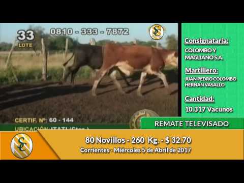 05-04-17 - Ventas del Remate Televisado de Colombo y Magliano SA - Corrientes